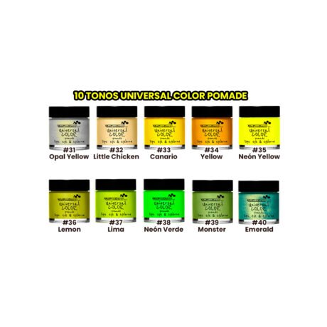 Universal Color Pomade Gama 31-40