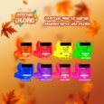 Kit Universal Color Pomade Tonos Neón